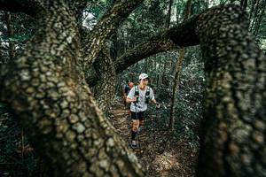 BIB: 
                            <button type="button" onclick="openModal(25392514)" class="btn btn-primary btn-sm float-right btn-popup" data-toggle="modal" data-target=".modal-high-quality">
                        <i class="fas fa-shopping-cart"></i> Add to Cart
                    </button>
                                            <button type="button" onclick="isThisMe(25392514, true)" class="btn btn-success btn-sm float-right btn-popup btn-isme hidden" data-toggle="tooltip" data-placement="bottom" title="นี่คือรูปของคุณใช่ไหม คลิกที่นี่เพื่อเอาเข้าอัลบั้ม">
                        <i class="fas fa-plus"></i> Add to album
                    </button>
                    <button type="button" onclick="isThisMe(25392514, false)" class="btn btn-warning btn-sm float-right btn-popup btn-isnotme hidden">
                        <i class="fas fa-ban"></i> Remove from album
                    </button>